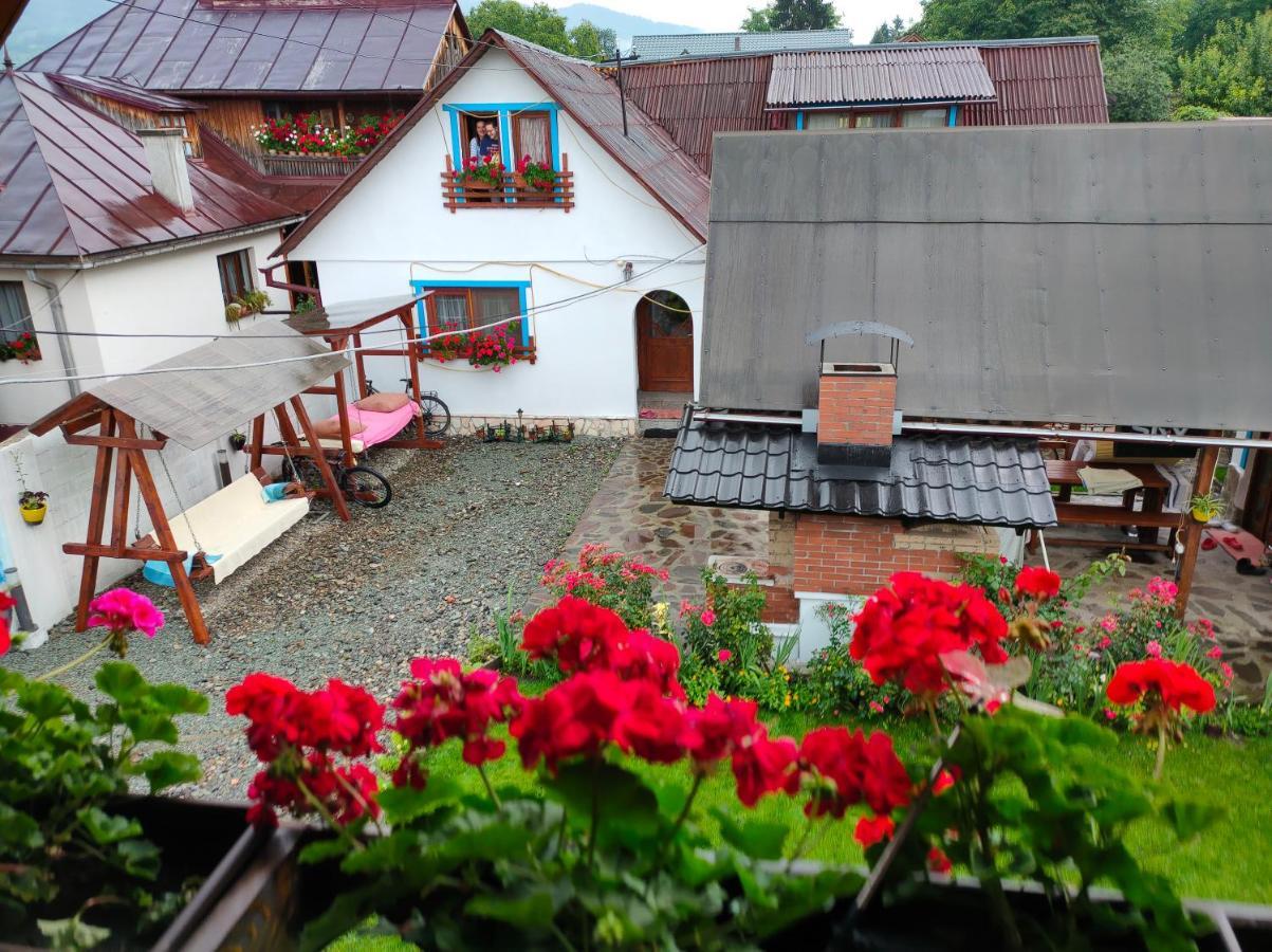 Hotel Casa Toth Din Tipterai Vişeu de Sus Esterno foto