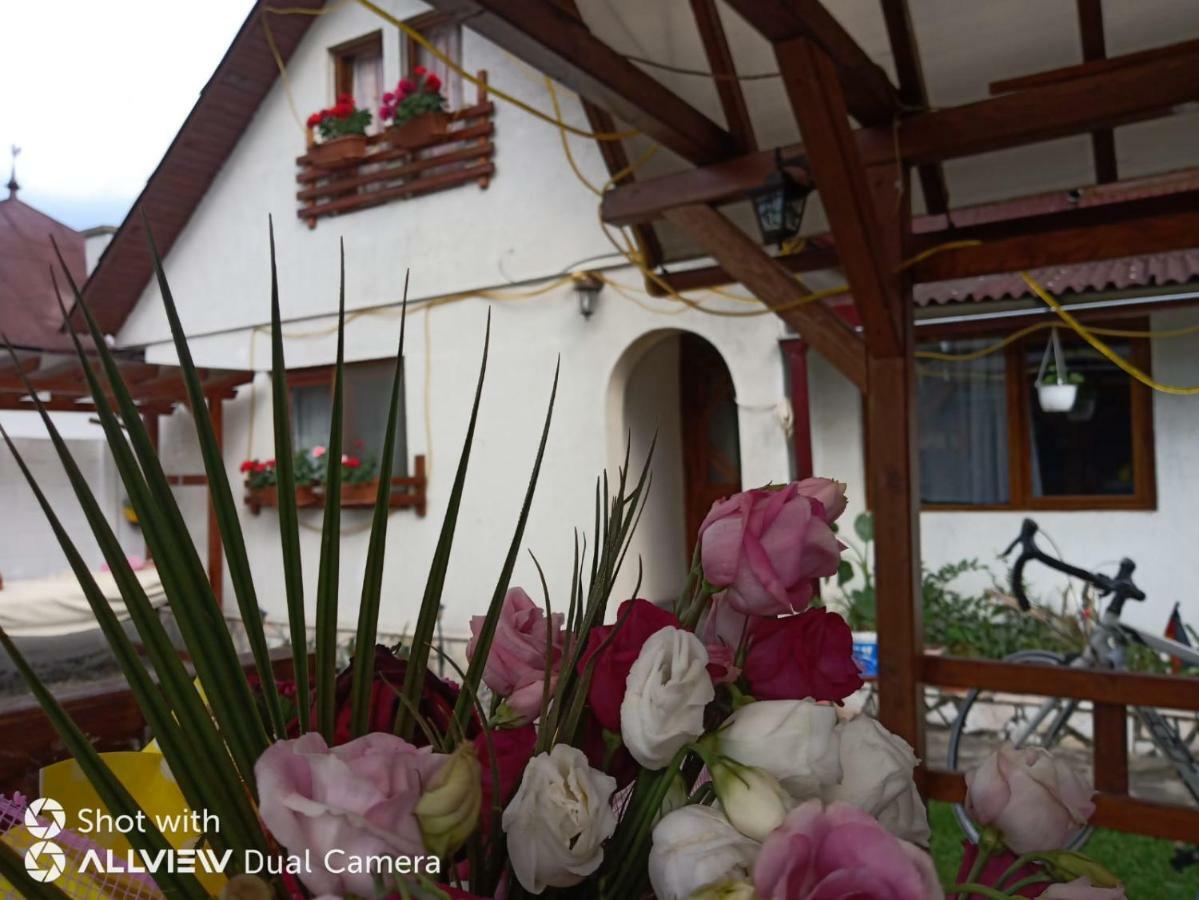 Hotel Casa Toth Din Tipterai Vişeu de Sus Esterno foto