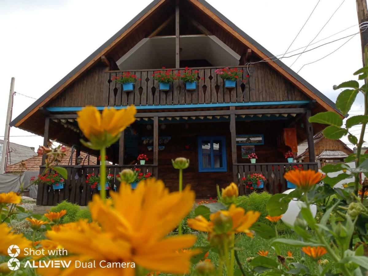 Hotel Casa Toth Din Tipterai Vişeu de Sus Esterno foto
